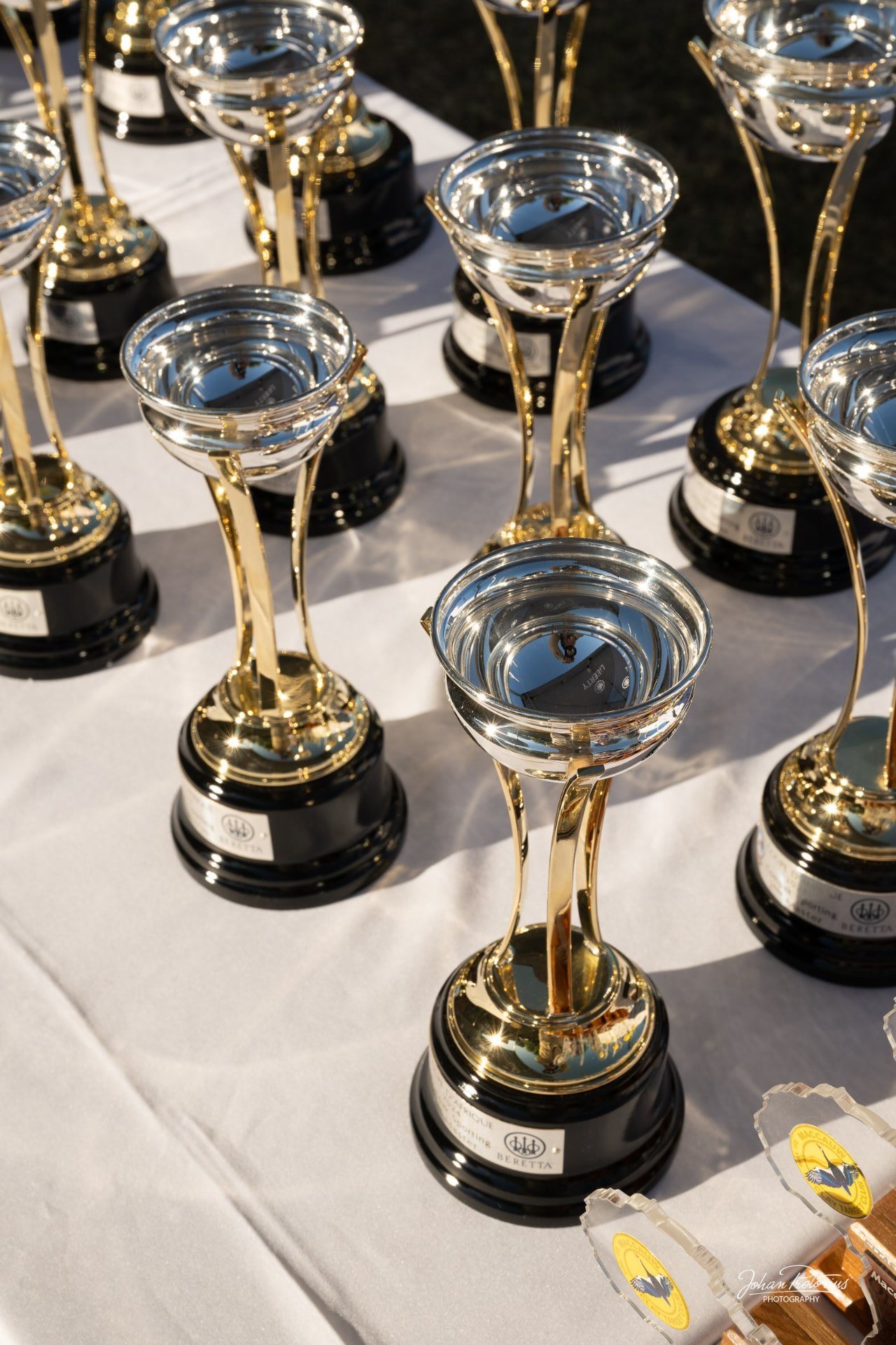 Championship trophies on a table
